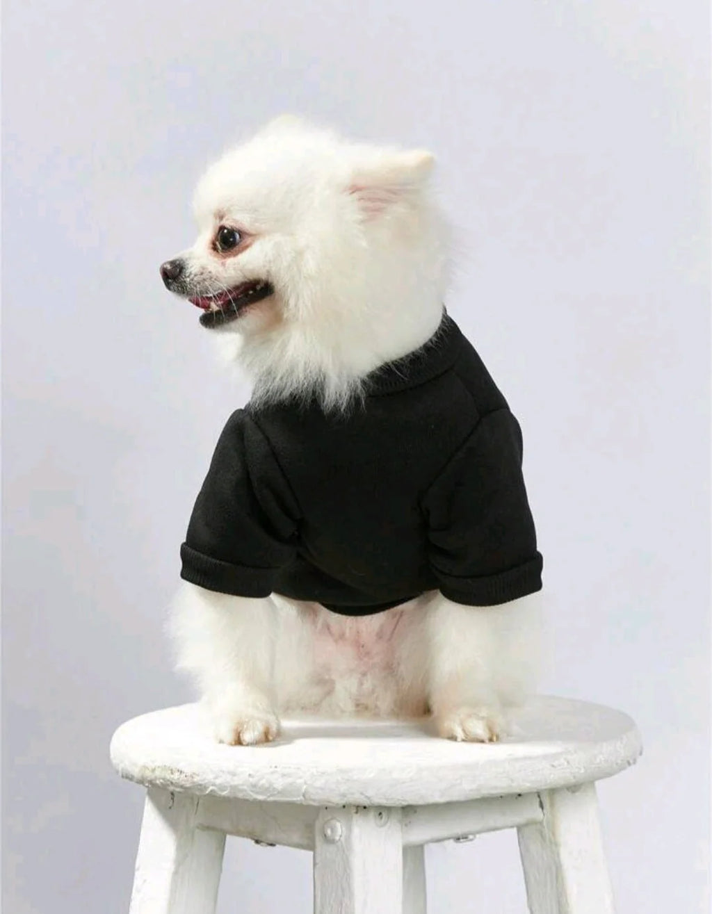 Desbiens Artist Retro Street 1pc Gold Crown & Letter Print Pet Pattern Pullover for your doggo Sweatshirt
