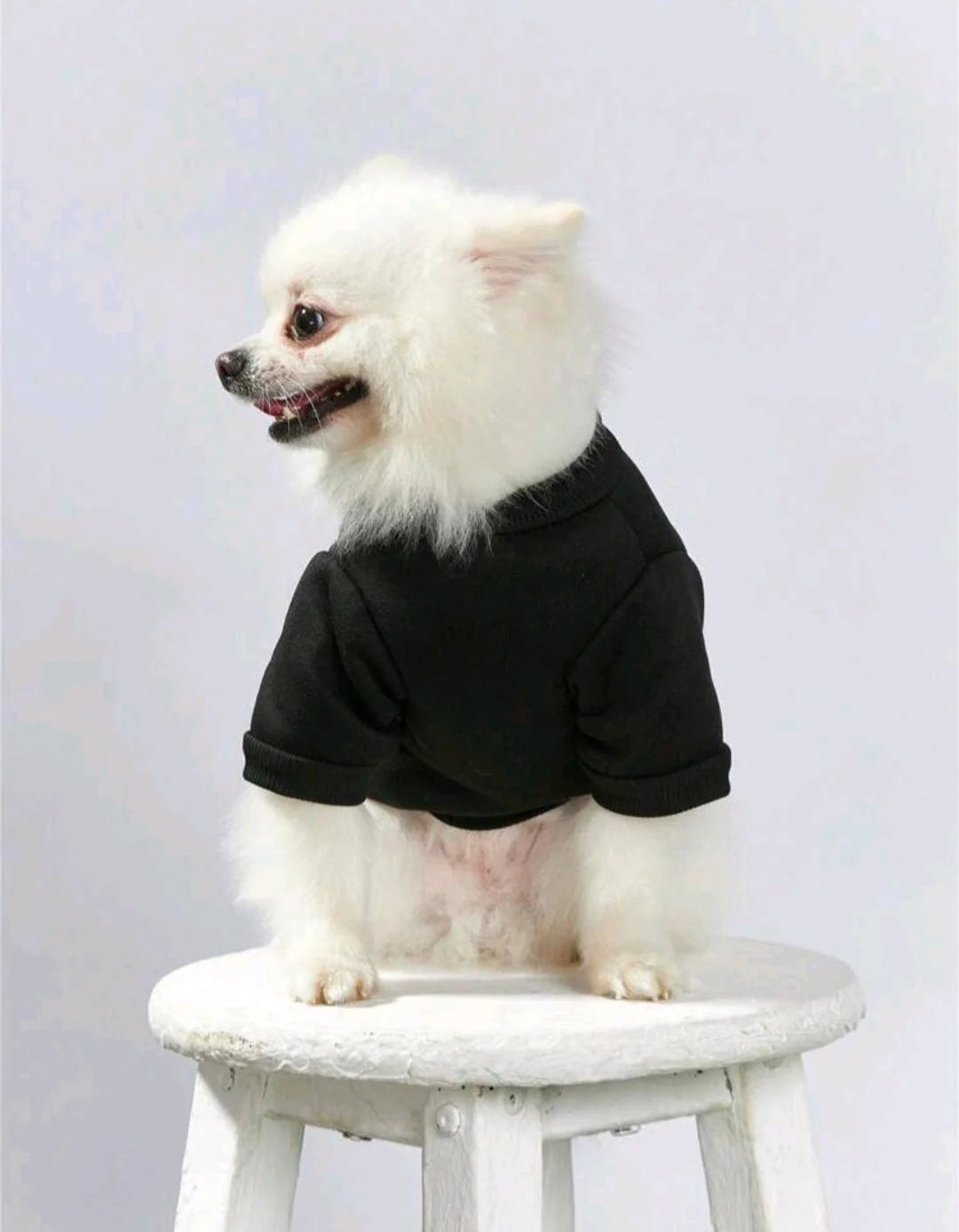 Desbiens Artist Retro Street 1pc Gold Crown & Letter Print Pet Pattern Pullover for your doggo Sweatshirt