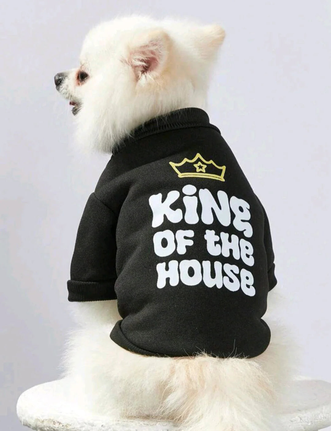 Desbiens Artist Retro Street 1pc Gold Crown & Letter Print Pet Pattern Pullover for your doggo Sweatshirt
